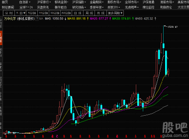 股吧600309，深度解析與前景展望，股吧600309深度解析與未來前景展望