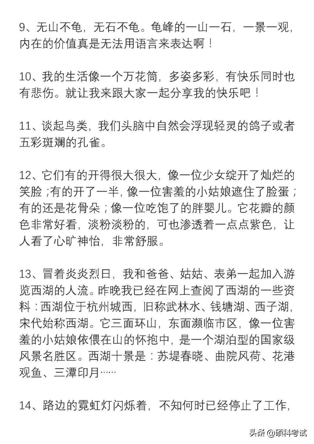 四年級新聞?wù)?，一則關(guān)于環(huán)保的新聞報道，四年級環(huán)保新聞?wù)P(guān)注環(huán)境保護(hù)的最新動態(tài)