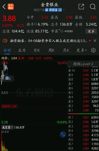 金貴銀業(yè)股票，投資機(jī)遇與挑戰(zhàn)并存，金貴銀業(yè)股票，投資機(jī)遇與挑戰(zhàn)的并存分析