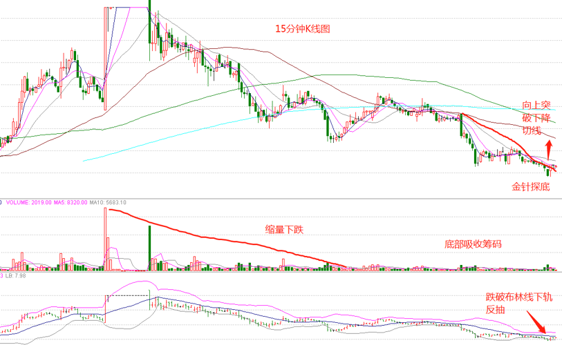 股票000962，深度解析與前景展望，股票000962深度解析與未來前景展望