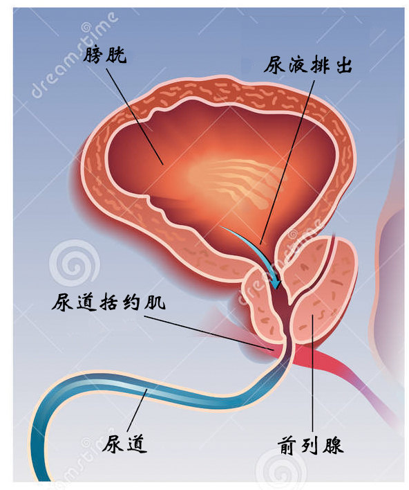 雨后彩虹