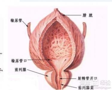 治療前列腺炎的最佳方法，治療前列腺炎的最佳方法解析