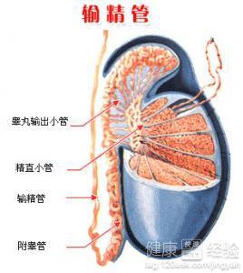 男性結(jié)扎手術(shù)費(fèi)用多少，全面解析費(fèi)用構(gòu)成與影響因素，男性結(jié)扎手術(shù)費(fèi)用詳解，構(gòu)成、影響因素全解析