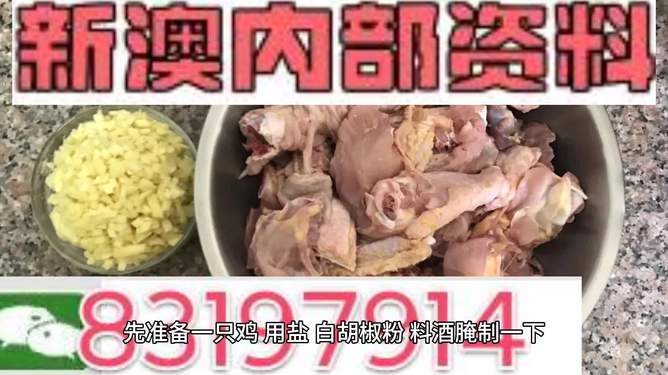 探索未來的澳門——關(guān)于新澳門資料雞號(hào)的深度解析，澳門未來展望，深度解析新澳門資料雞號(hào)