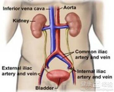 前列腺疾病的治療與藥物選擇，前列腺疾病治療與藥物選擇攻略