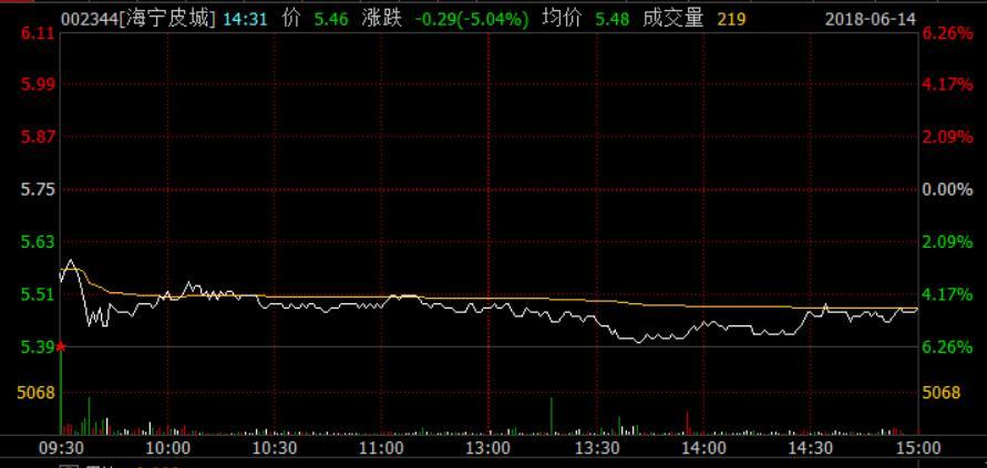 海寧皮城(002344)股吧深度解析，海寧皮城(002344)股吧全面深度解析