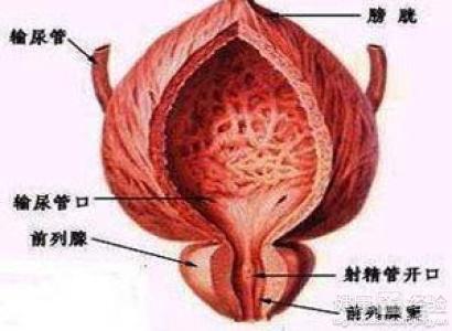 如何按摩男性前列腺，一種健康護(hù)理的指南，男性前列腺按摩指南，健康護(hù)理的秘訣