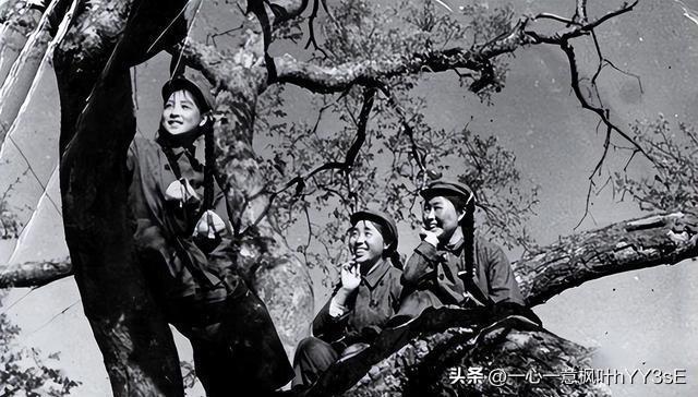 探索女兵報(bào)名入口官網(wǎng)，2023年的機(jī)遇與挑戰(zhàn)，女兵報(bào)名入口官網(wǎng)探索，2023年的機(jī)遇與挑戰(zhàn)揭秘