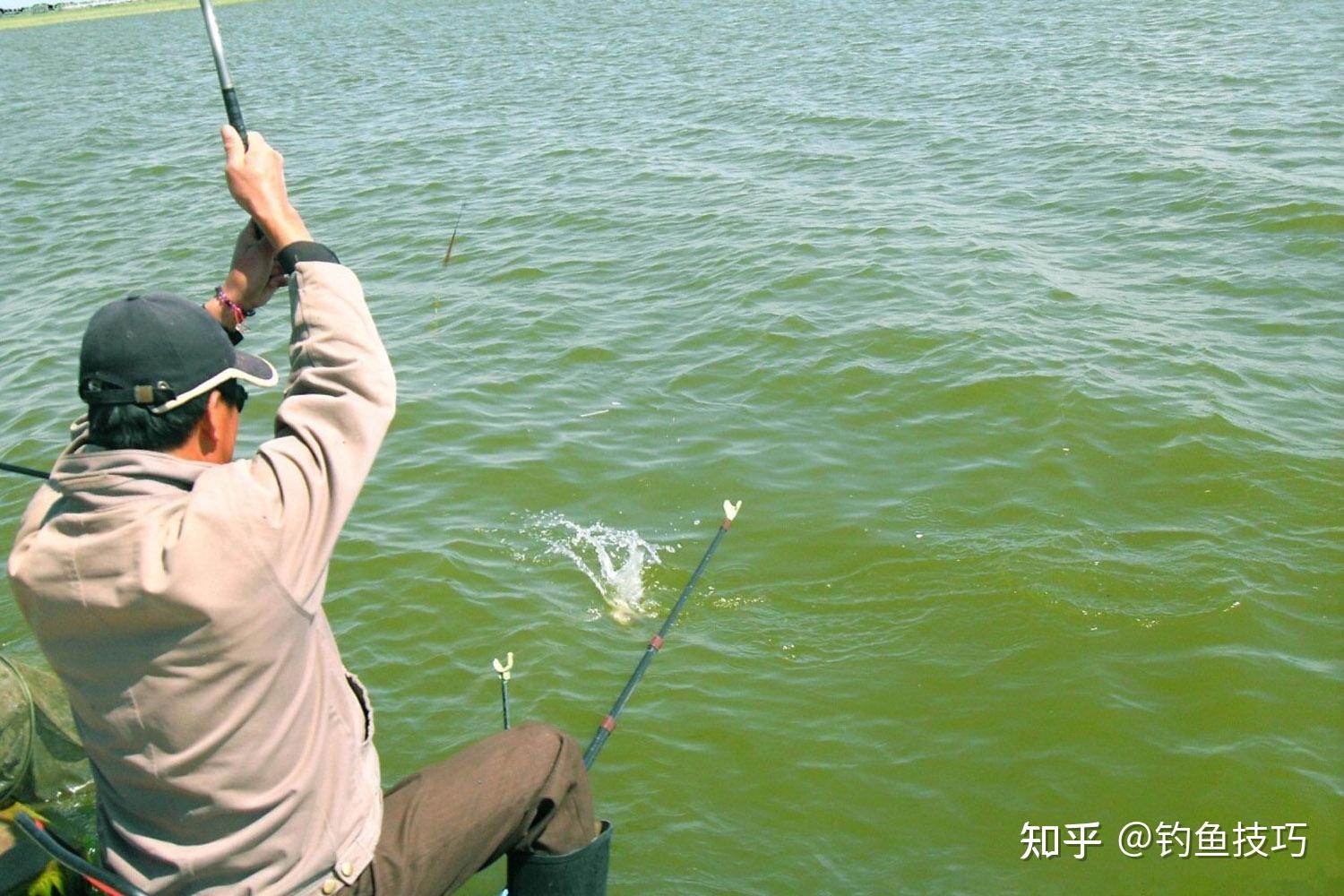 釣魚技巧詳解，如何精準(zhǔn)捕捉心儀的魚獲，釣魚技巧全解析，精準(zhǔn)捕捉心儀魚獲攻略