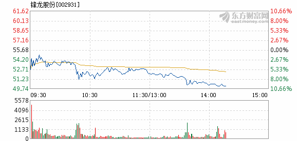 鋒龍股份股票，探究其潛力與價值，鋒龍股份股票，深度解析其潛力與價值