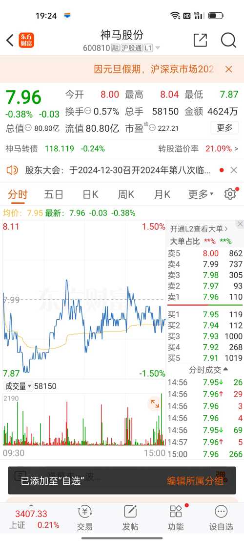 神馬股份（股票代碼，600810）股吧深度解析，神馬股份（股票代碼，600810）股吧全面深度解析