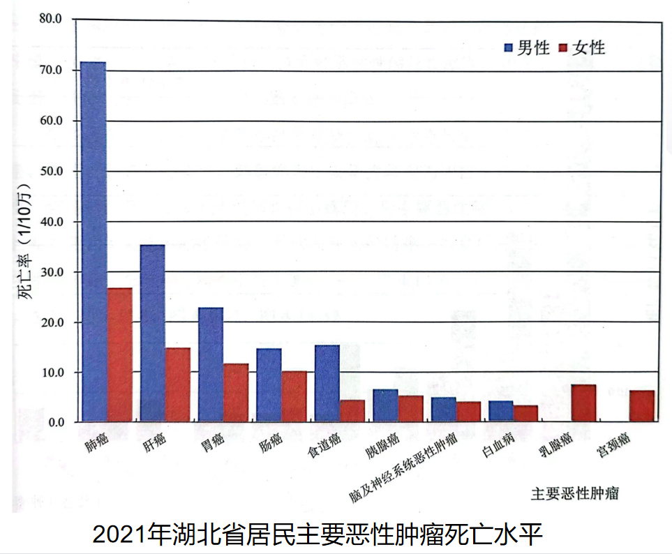 睪丸癌死亡率及其相關(guān)因素探討，睪丸癌死亡率及其影響因素分析