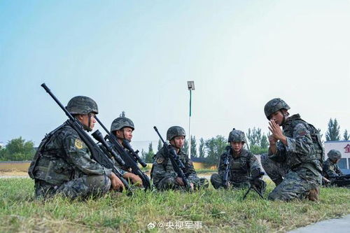 關(guān)于2024征兵報名網(wǎng)站入口的介紹與使用指南，2024征兵報名網(wǎng)站入口介紹及操作指南